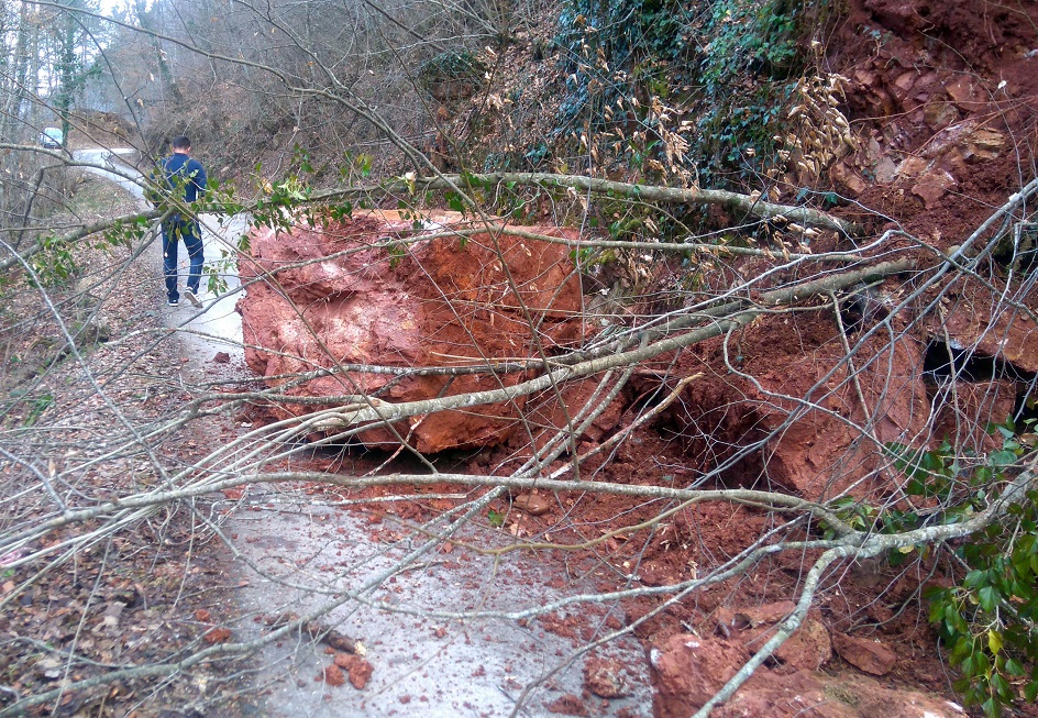 Srn2019-2-27_1358601_1