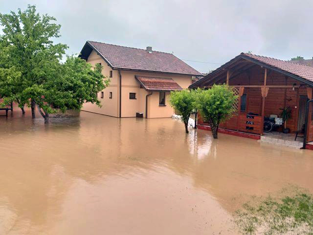 srn2019-5-14-107713-0-244435.jpeg
