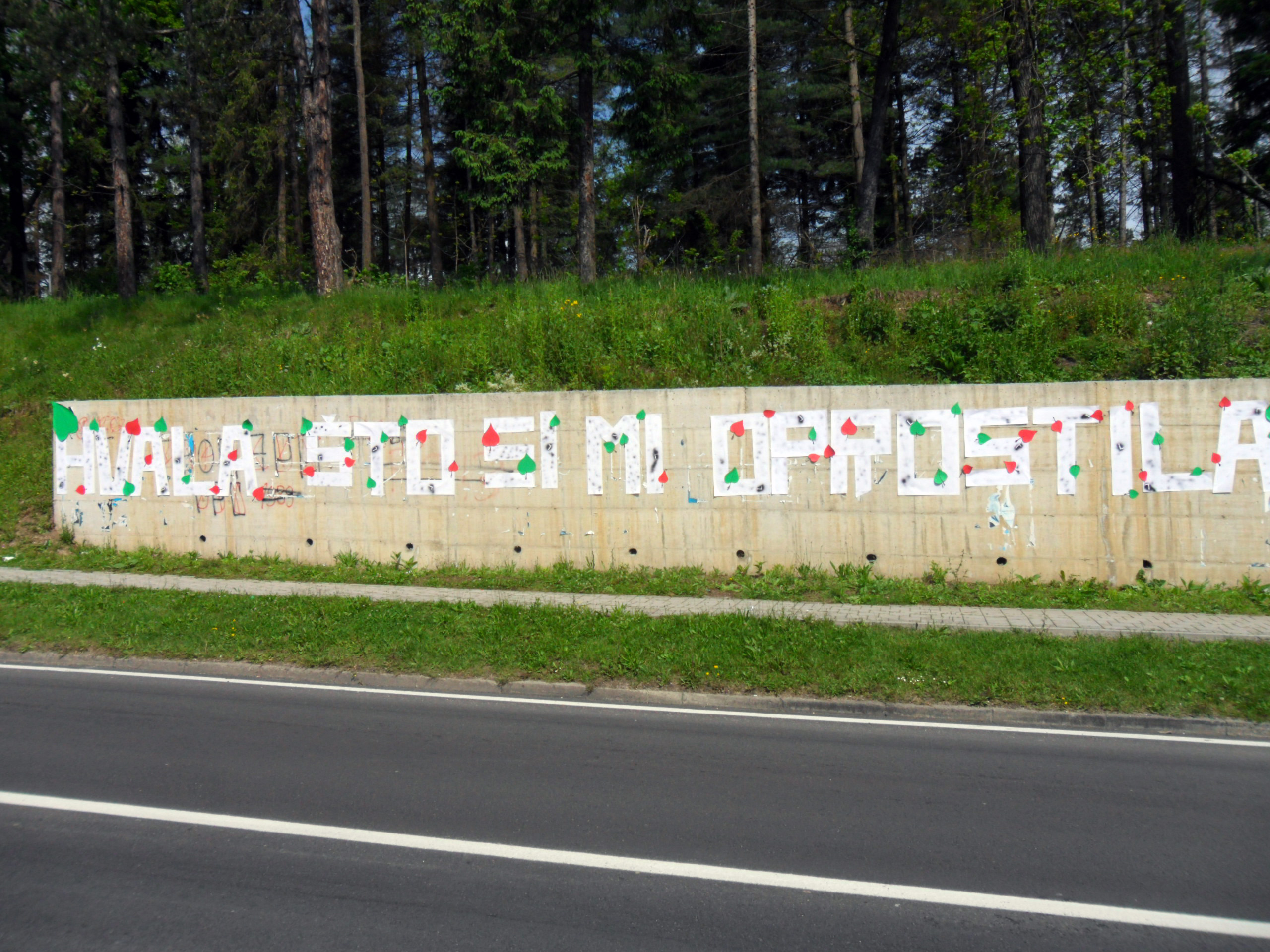 Srn2019-5-8_1125528_0