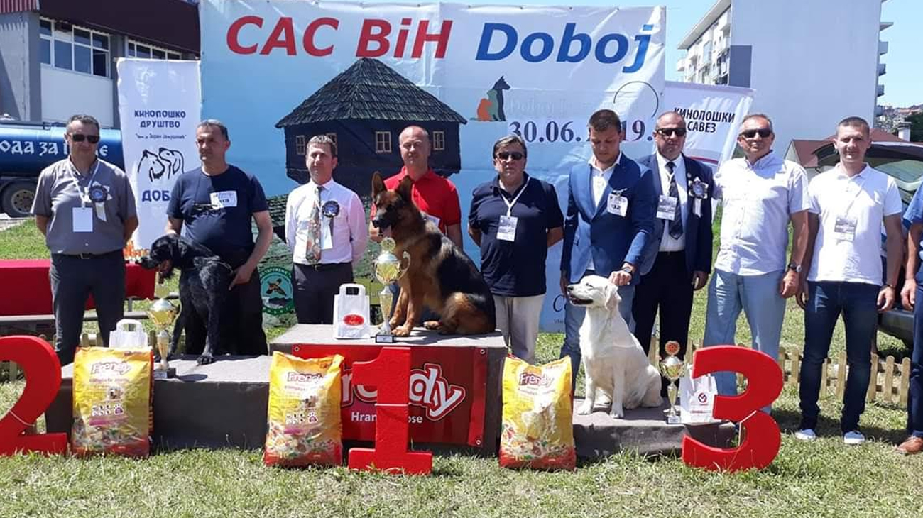 Srn2019-7-1_751708_0