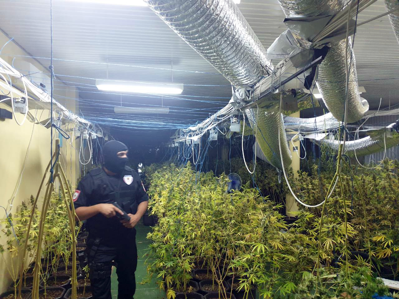 Srn2019-7-15_2045549_0