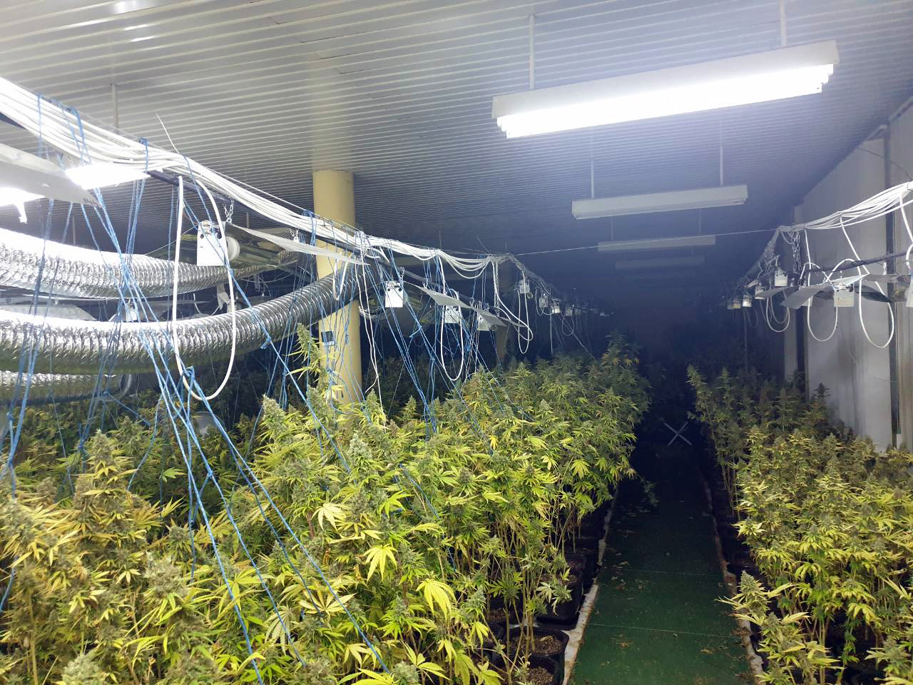 Srn2019-7-15_2045549_1