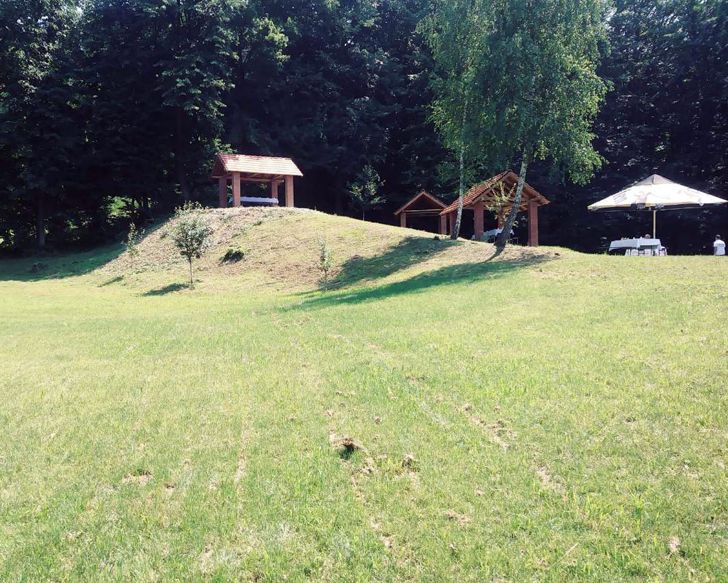 Srn2019-7-2_102749_6