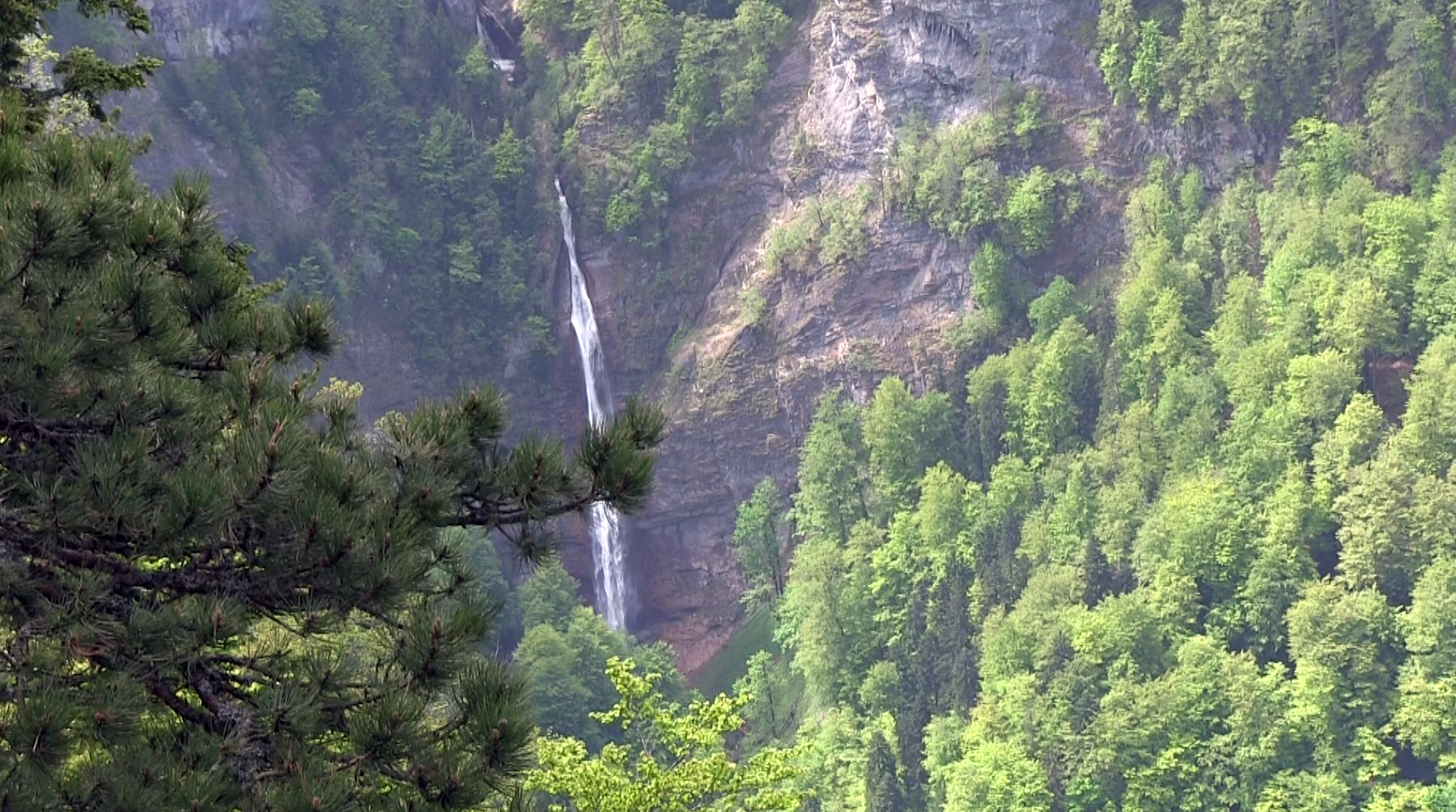 Srn2020-1-10_86563_0