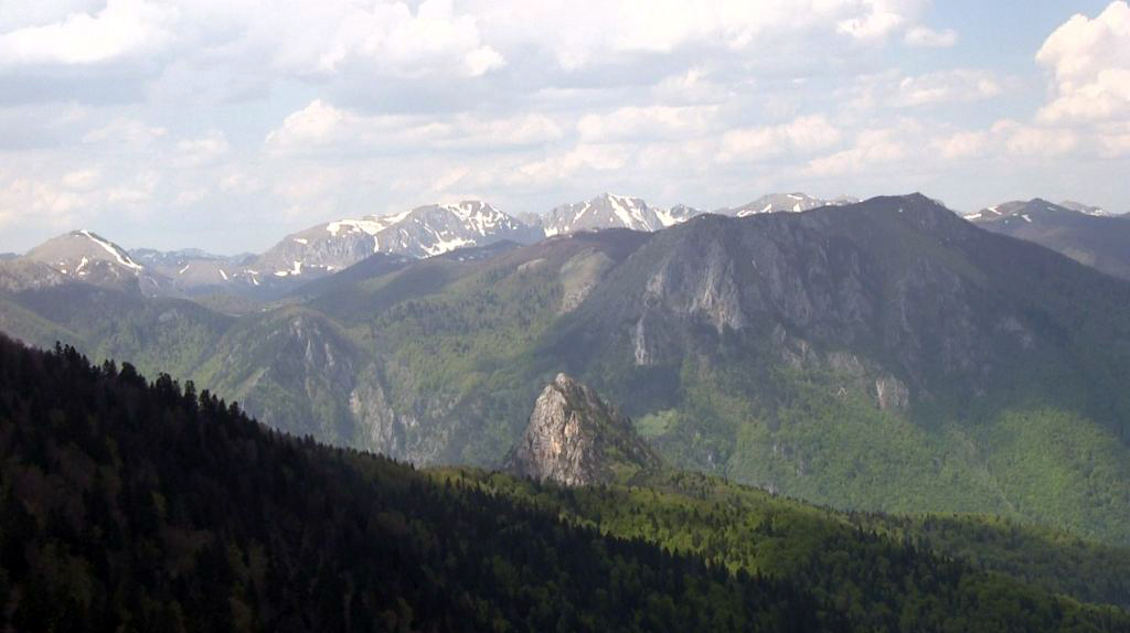 Srn2020-1-10_86563_5