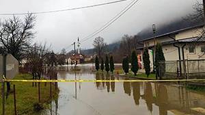 Srn2020-12-4_108115_2