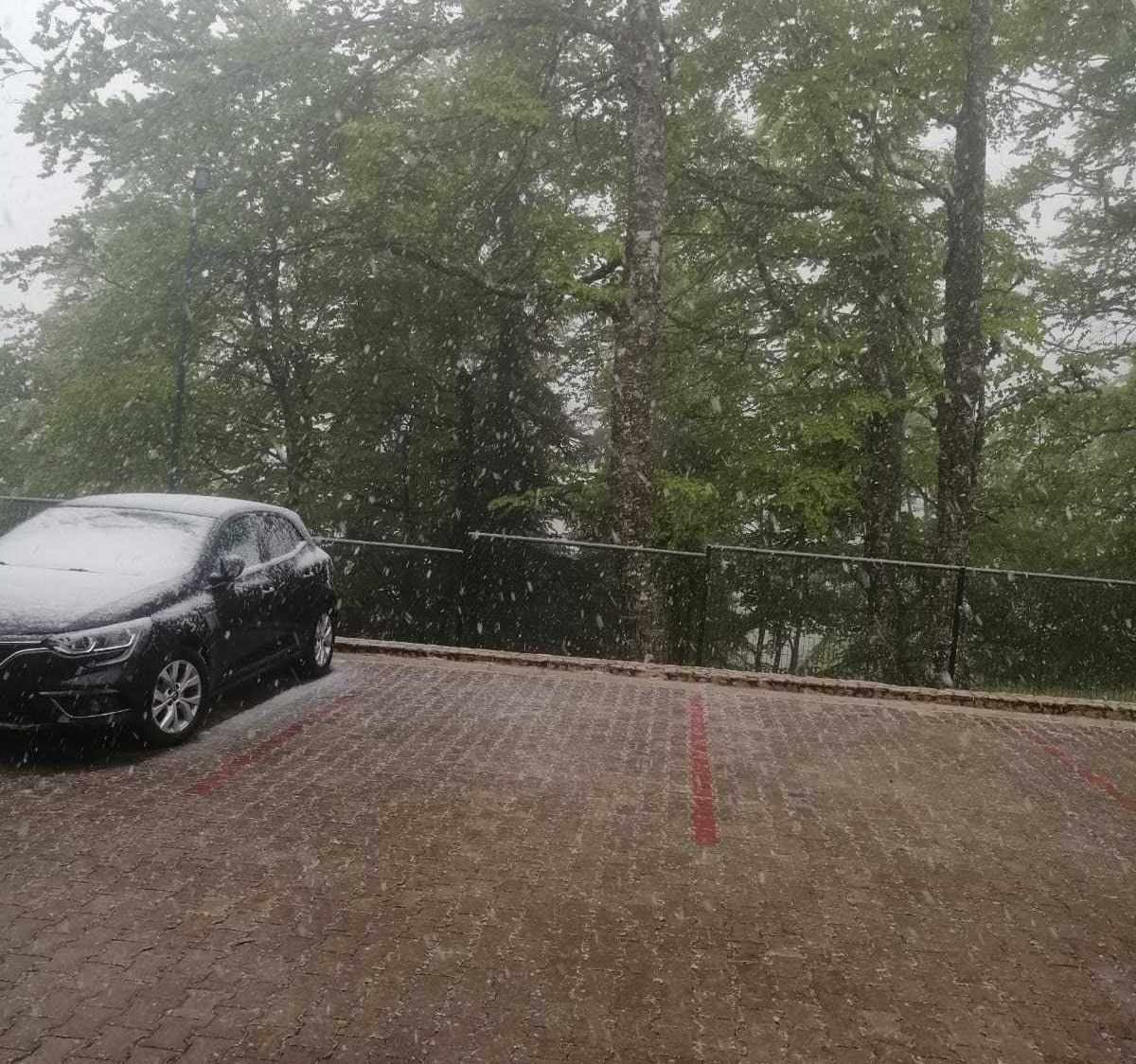 Srn2020-5-26_1015922_0