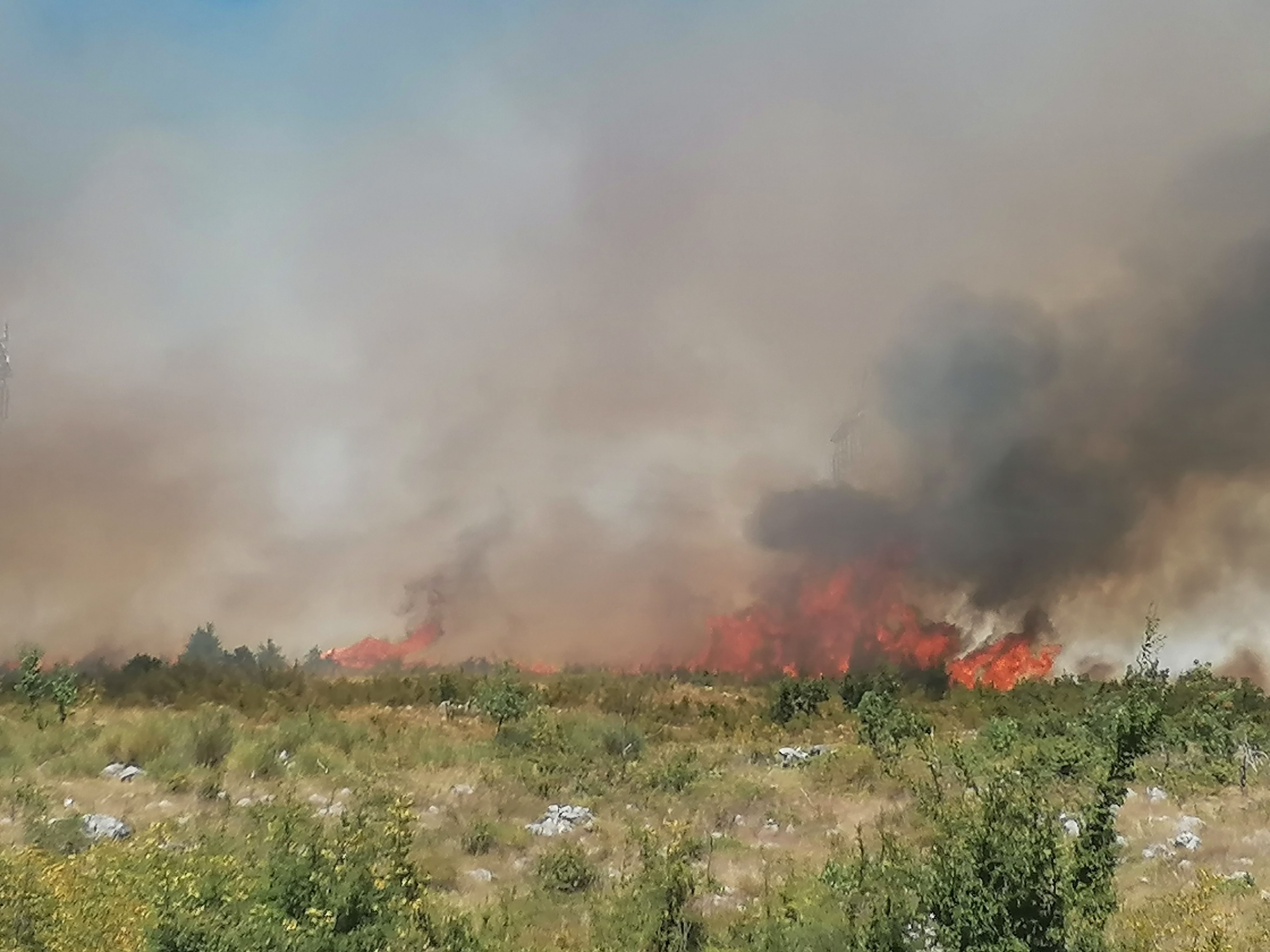 Srn2020-7-28_1849998_2