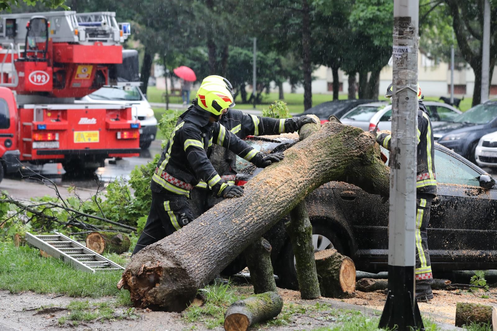 stablo-automobili-vatrogasci-kisa-212030