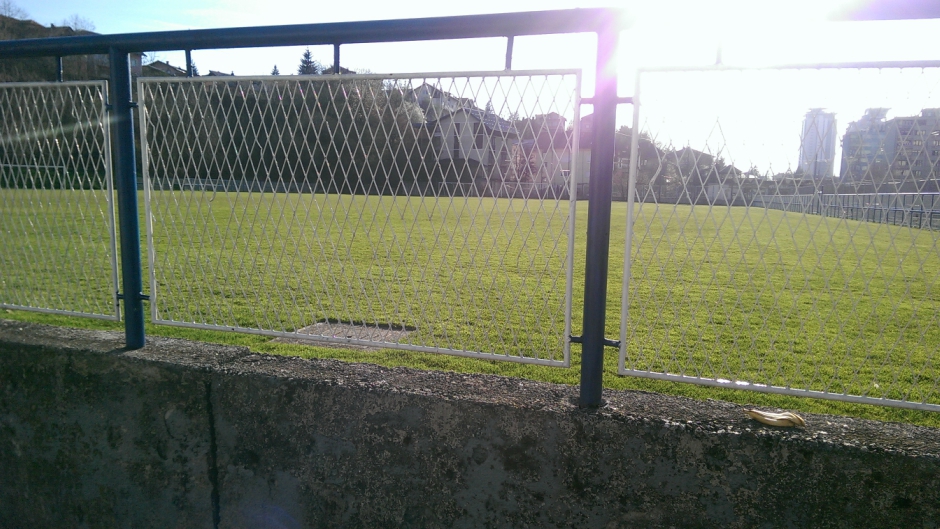 stadion grbavica