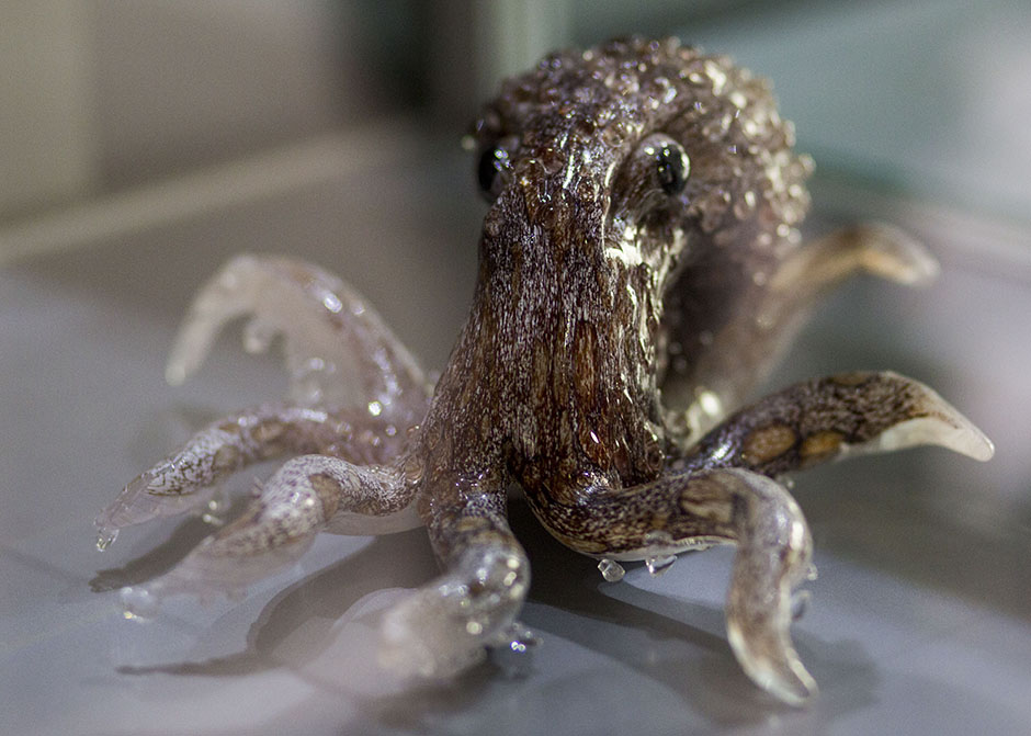 ANADOLIJA/Orhan Karslı