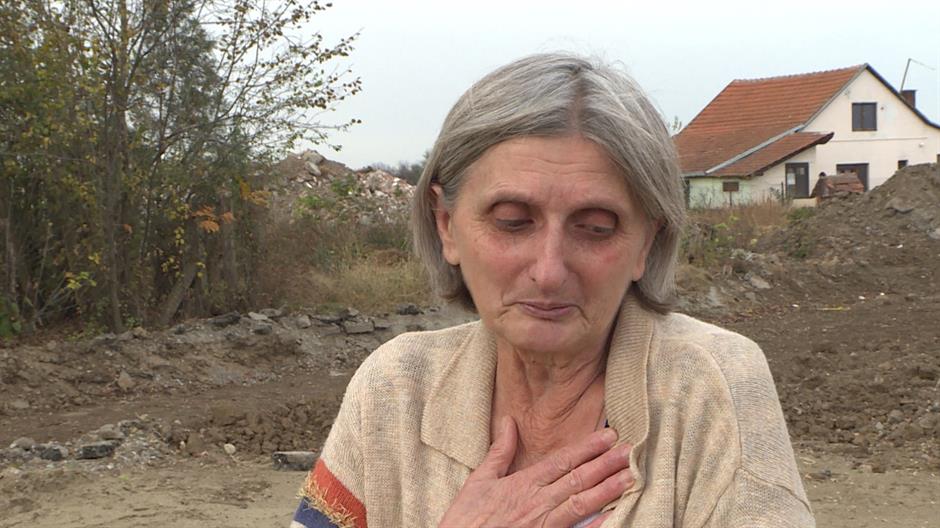 stojana veljković n1