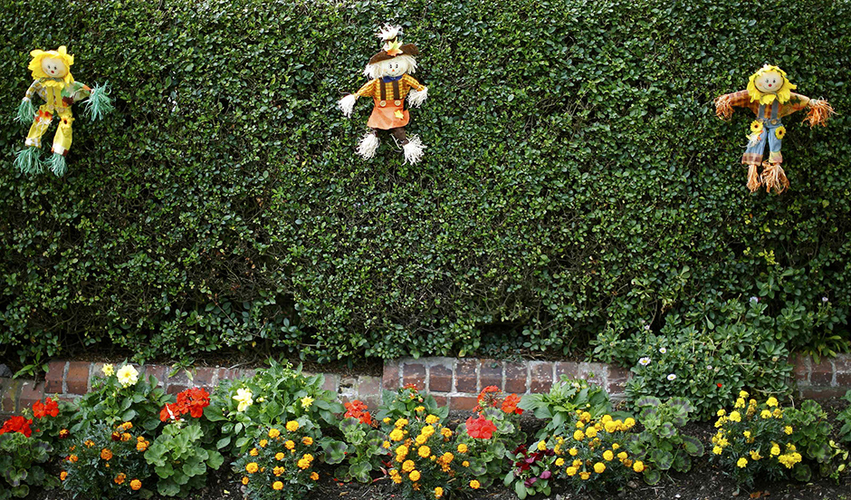 REUTERS/Darren Staples