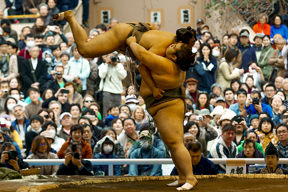 sumo (1)