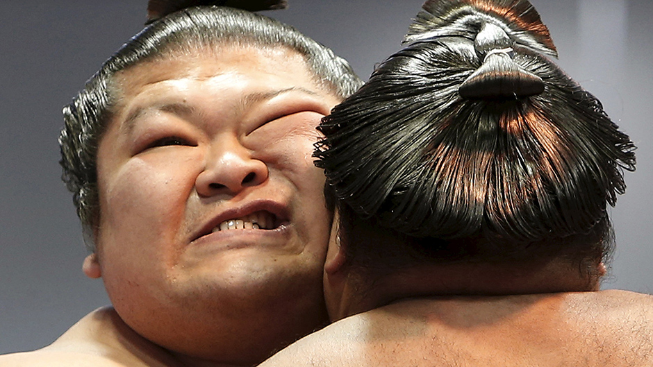 sumo (14)1