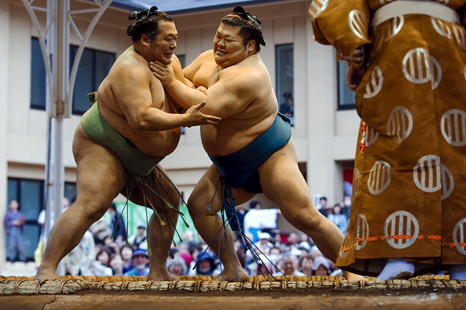 sumo (7)