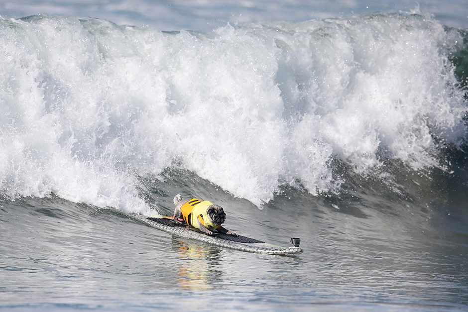 REUTERS/Lucy Nicholson