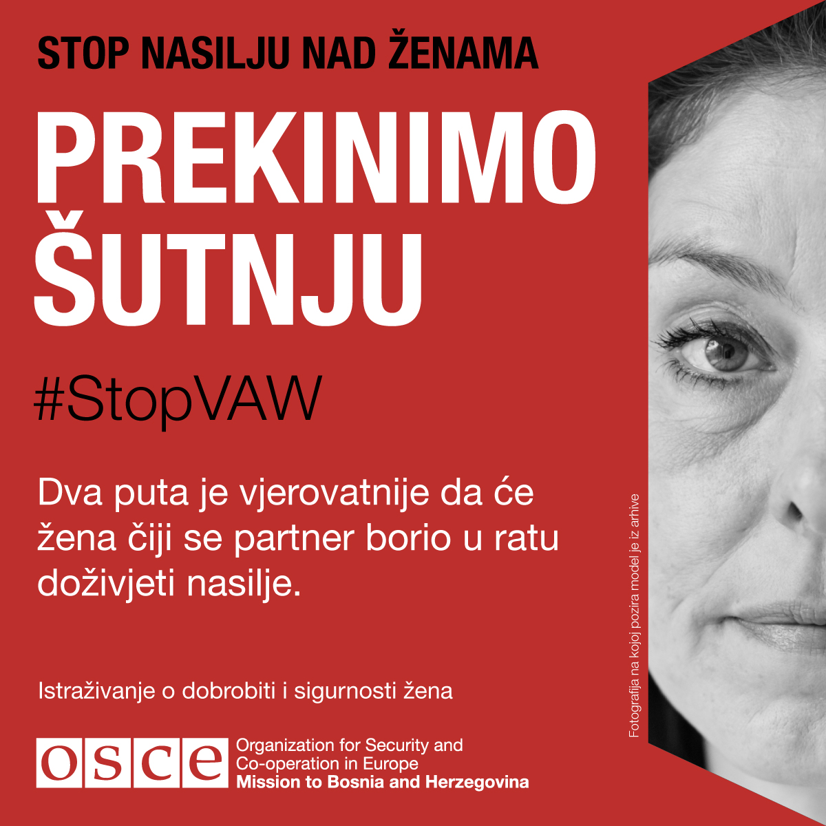 svaw-bih-sm-2-274707.jpeg