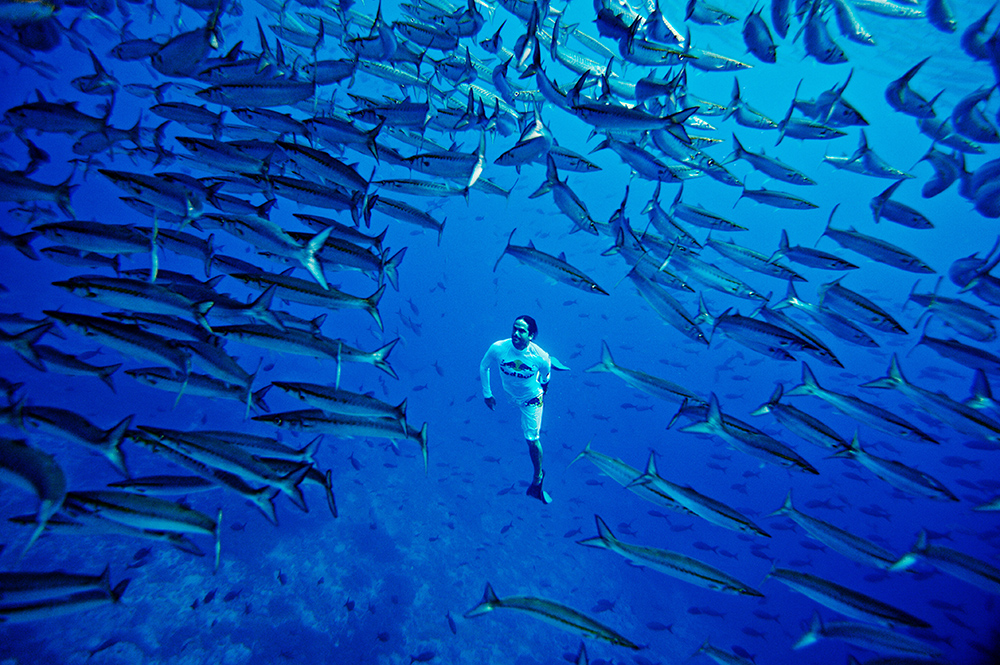 Svetski dan Okeana (2)