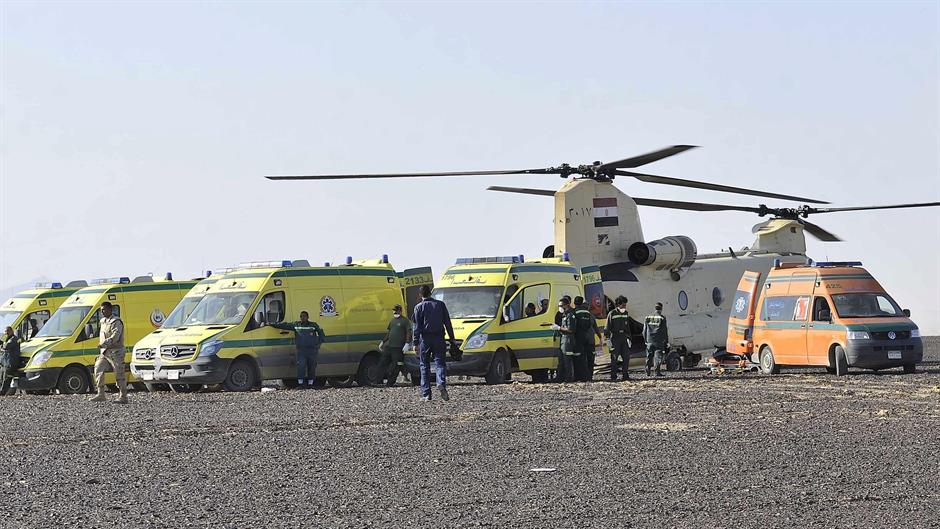 Tan2015-10-31_193128192_101