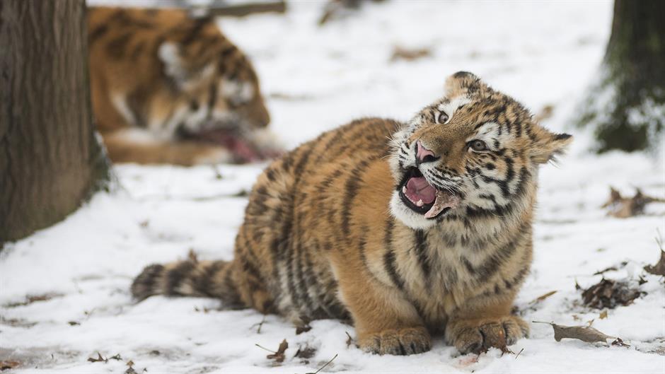 Tan2016-1-7_161914453_0