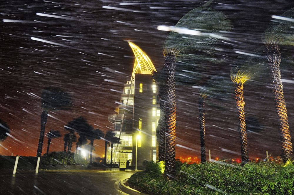 Tan2016-12-5_792633_1