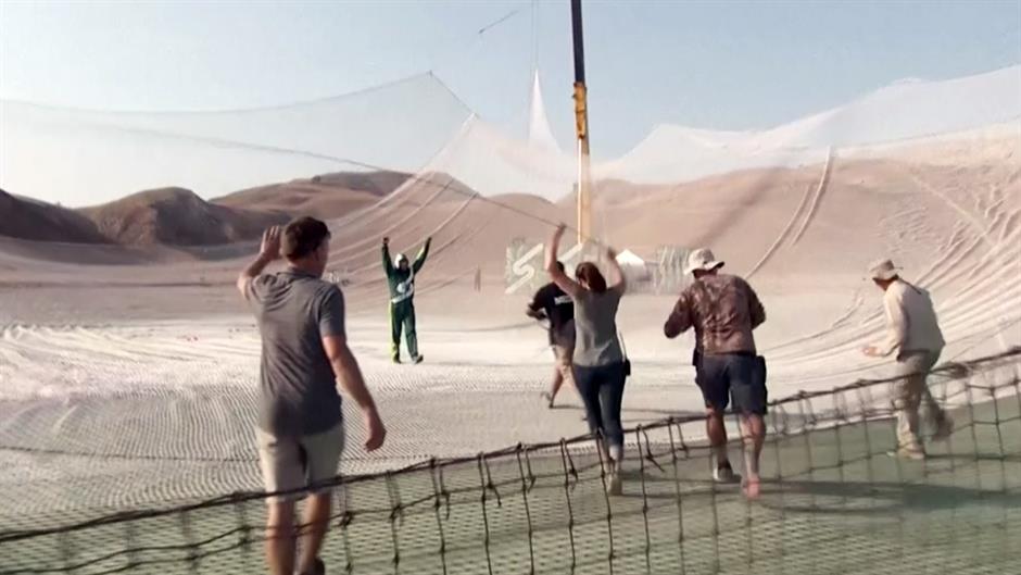 Tan2016-7-31_73956271_1