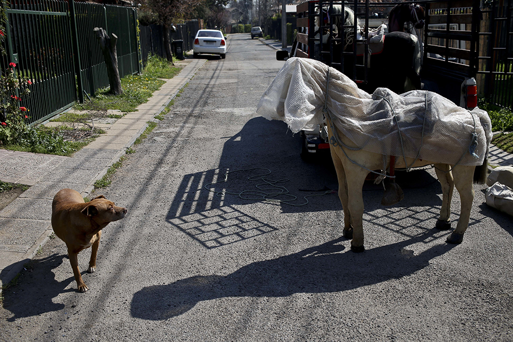 Tan2017-1-18_53123368_0