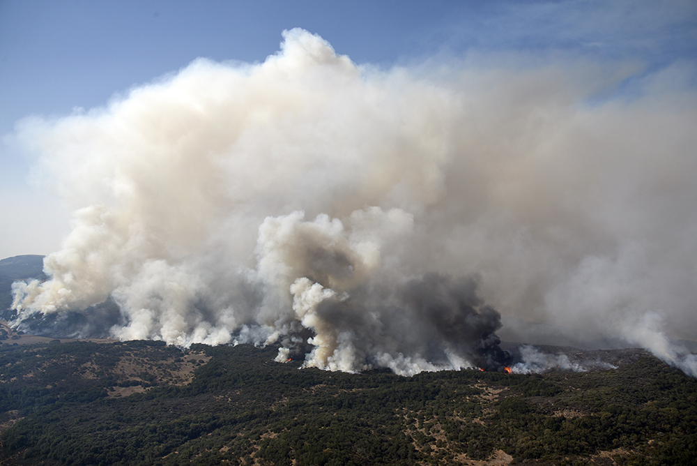 Tanjug/AP/Michael Short