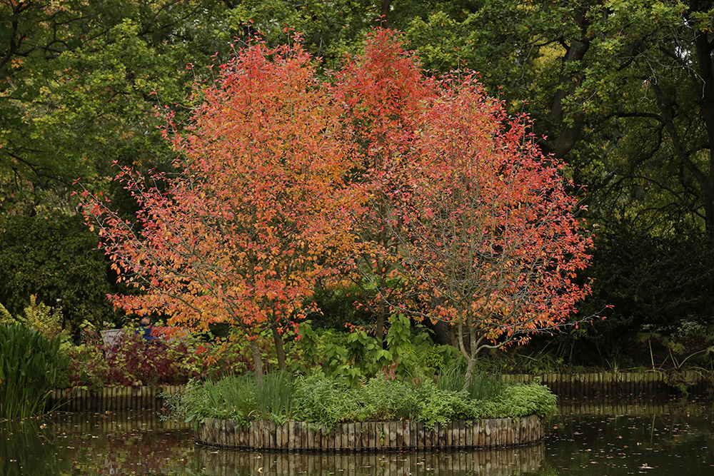 Tanjug/AP/Matt Dunham