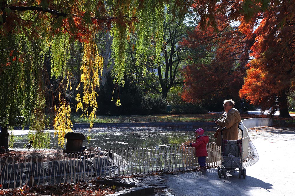 Tan2017-11-2_95839983_0