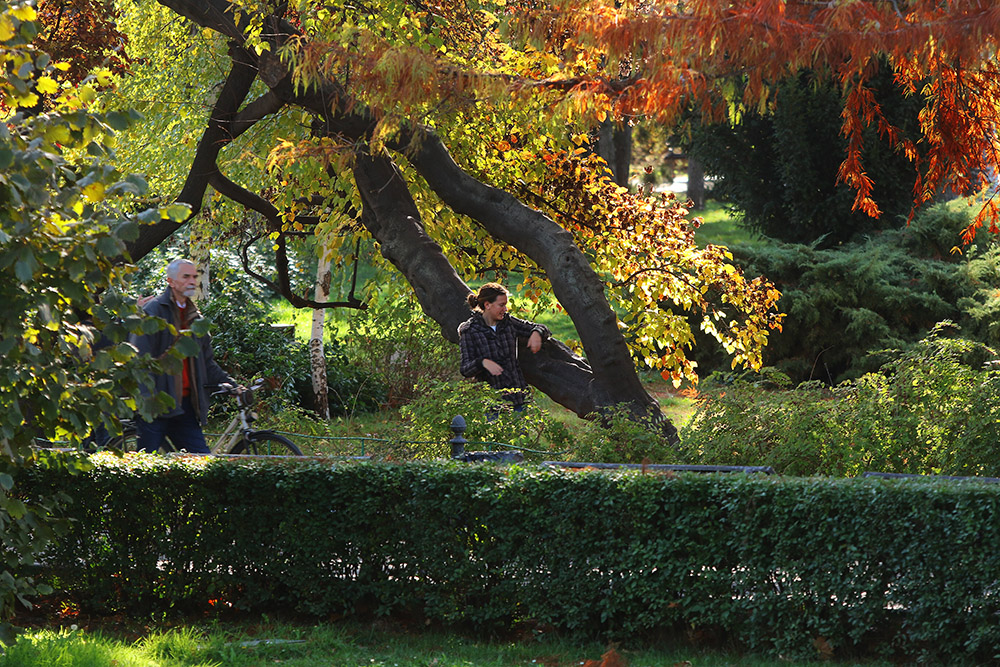 Tan2017-11-2_95916275_14