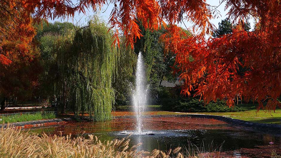 Tan2017-11-2_9593118_8 1