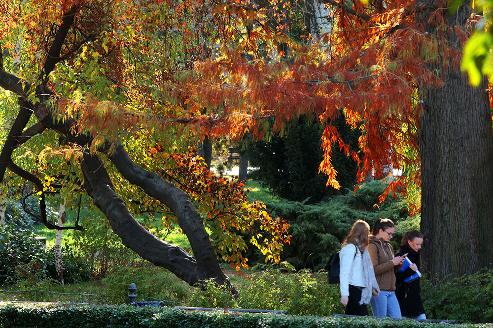 Tan2017-11-2_9597424_10