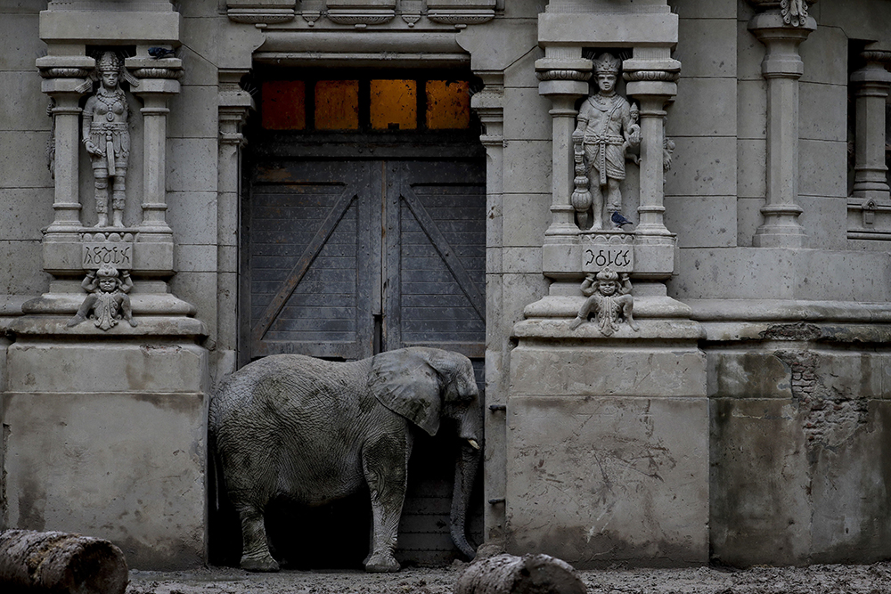 TANJUG/AP/Natacha Pisarenko