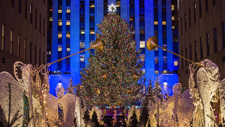 Tan2017-11-30_51422461_0  11