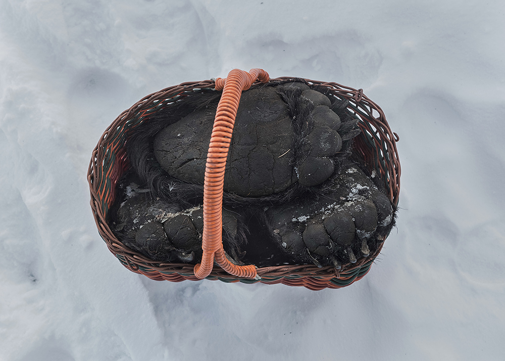 Elena Anosova/World Press Photo via AP