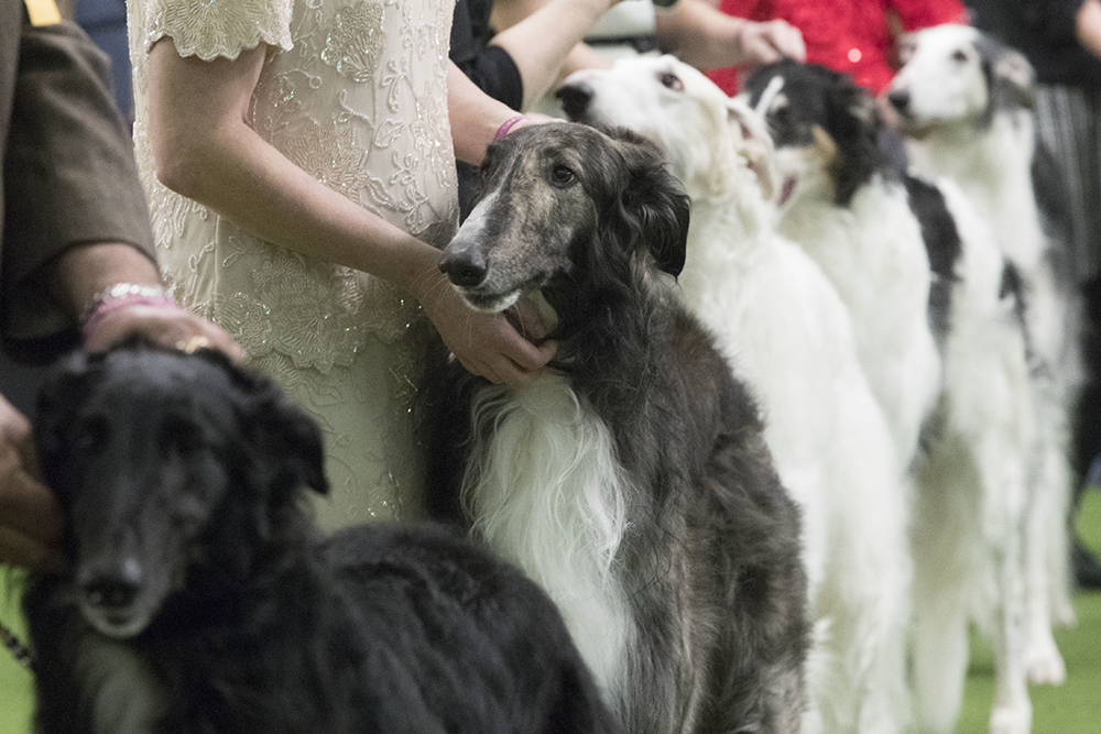 Tan2017-2-13_202644818_3