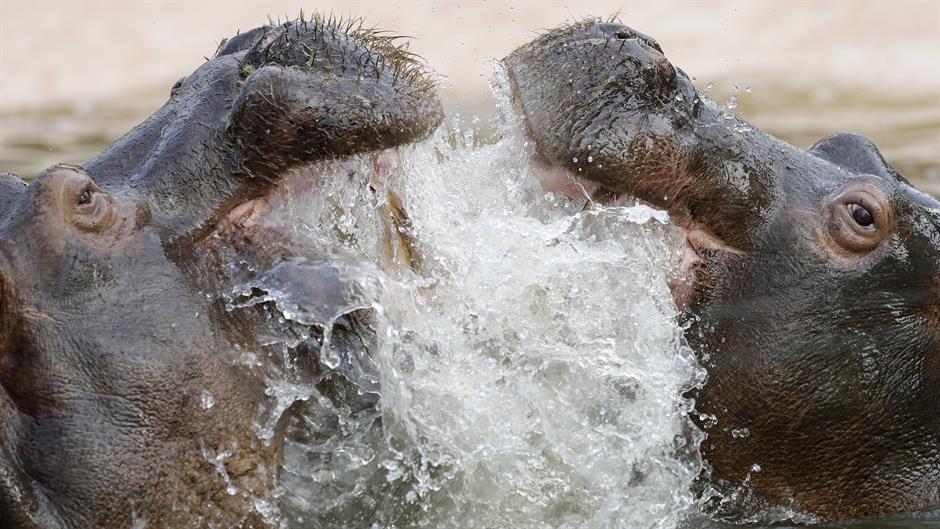 Tan2017-2-17_19443727_0