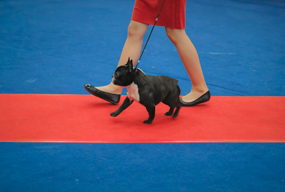 Tanjug/AP/Vadim Ghirda