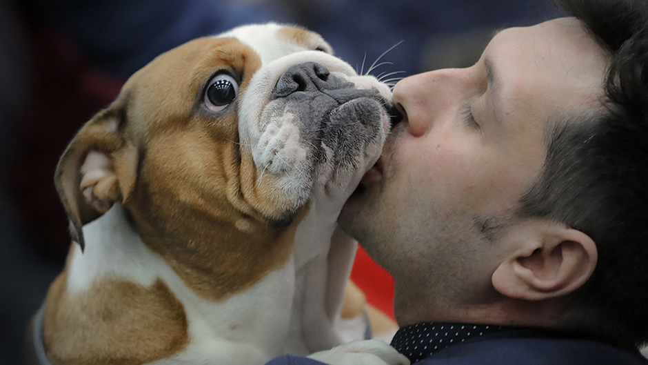 Tan2017-3-20_13213425_0 11