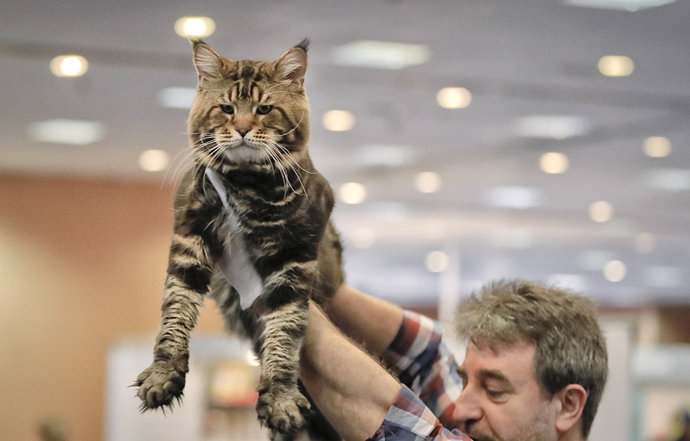 Tanjug/AP/Vadim Ghirda