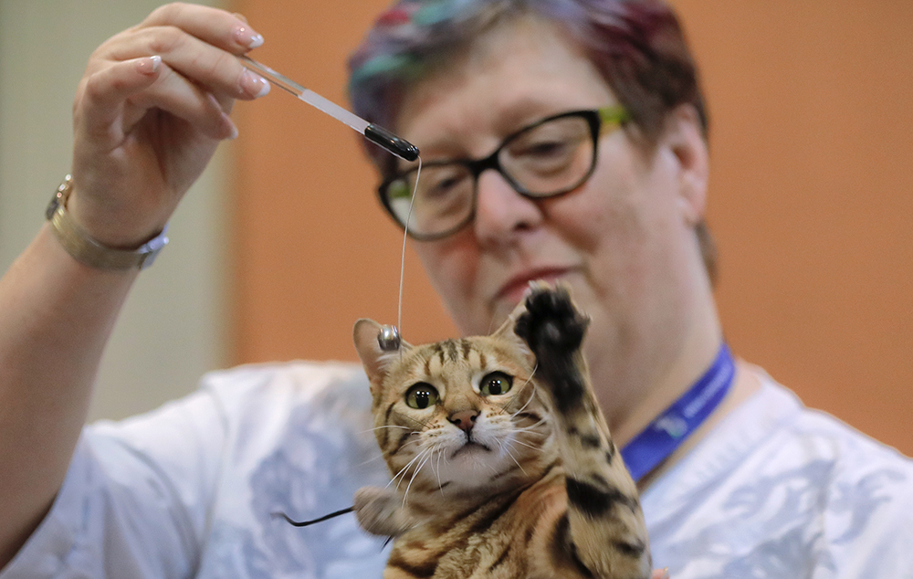 Tanjug/AP/Vadim Ghirda