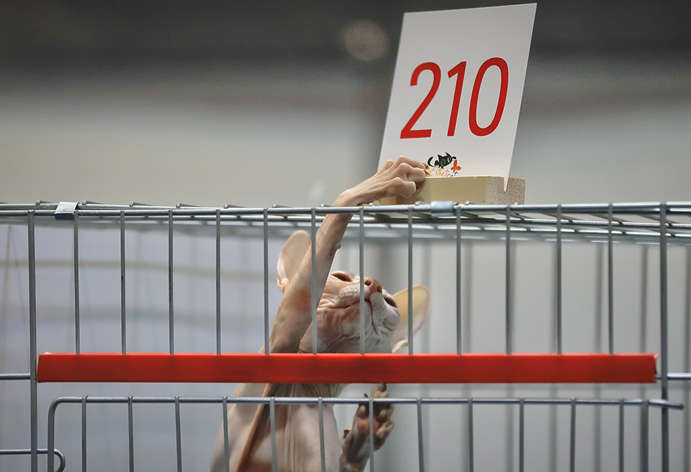 Tan2017-3-20_13635441_1