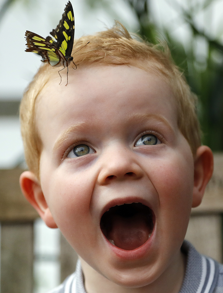 Tanjug/AP/Frank Augstein