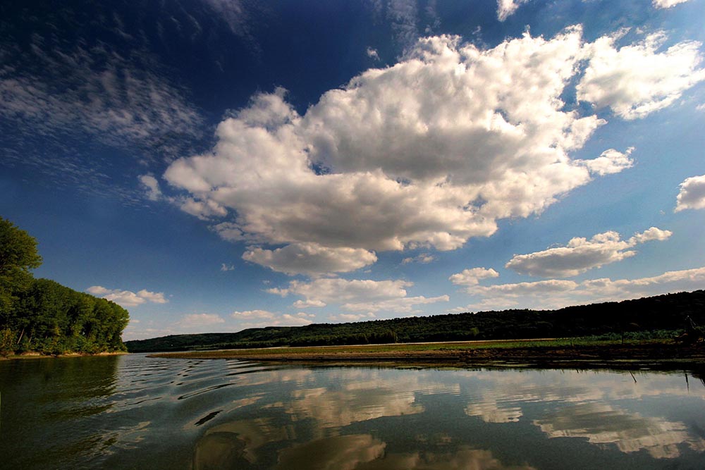 Tan2017-4-11_95752925_3