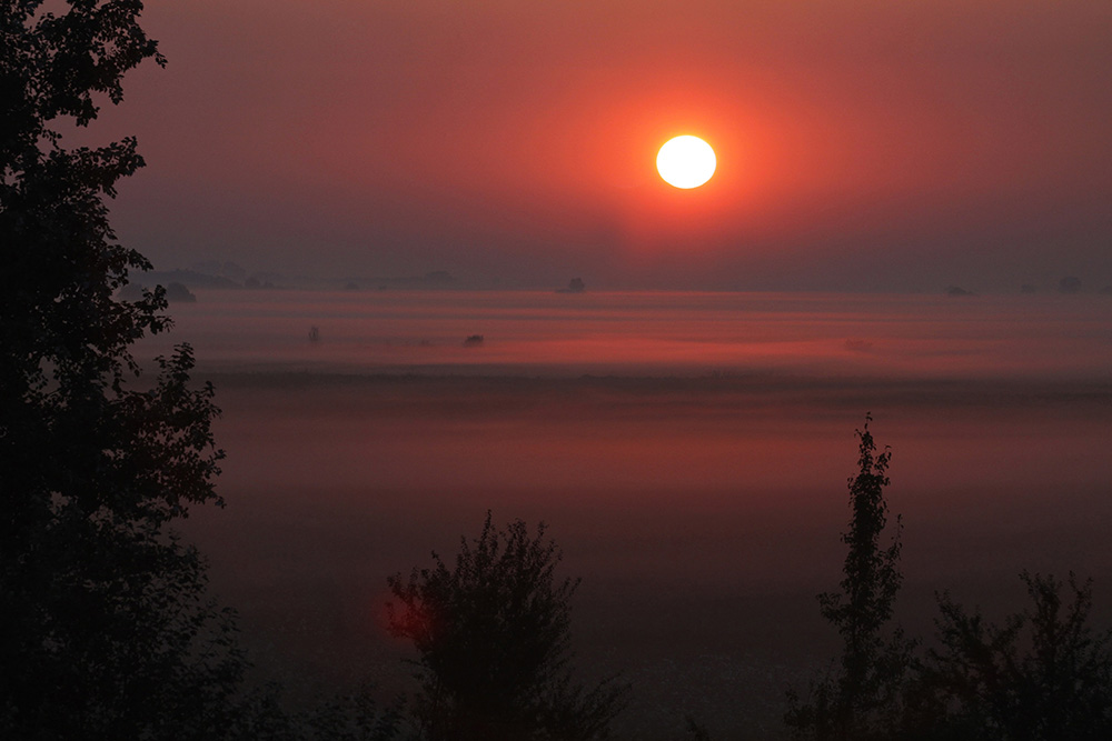 Tan2017-4-11_9583733_5