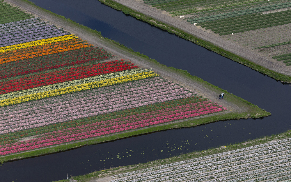 Tanjug/AP/Peter Dejong