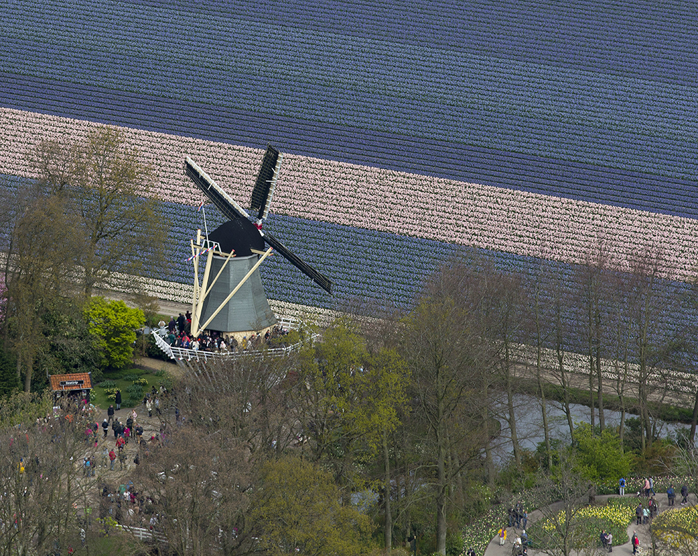 Tanjug/AP/Peter Dejong