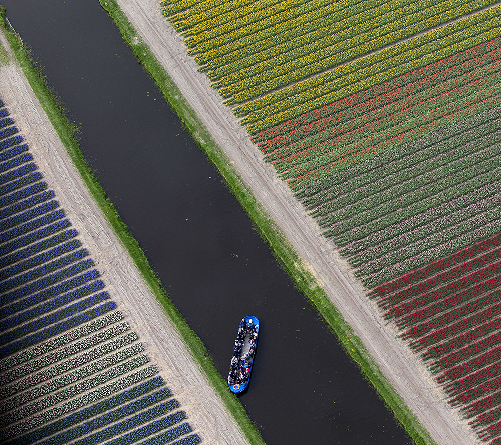 Tan2017-4-19_123746588_1